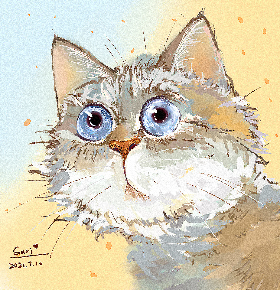 猫咪合集（图ZMjY1Mjc0OTI4） - 创作习作 - 站酷设计师Suri_yan原创素材 - 站酷ZCOOL