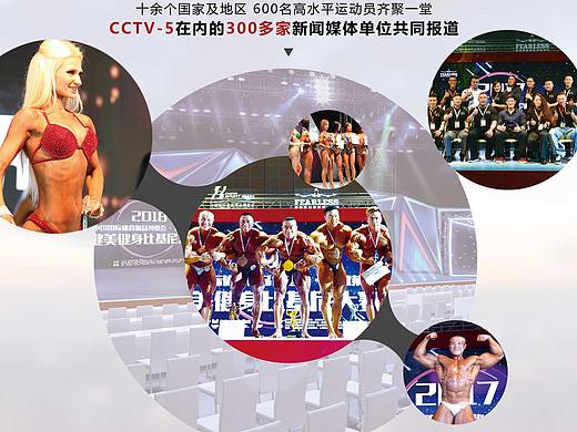 体博会参展易拉宝