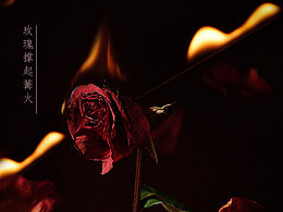 玫目成詩·致人間浪漫