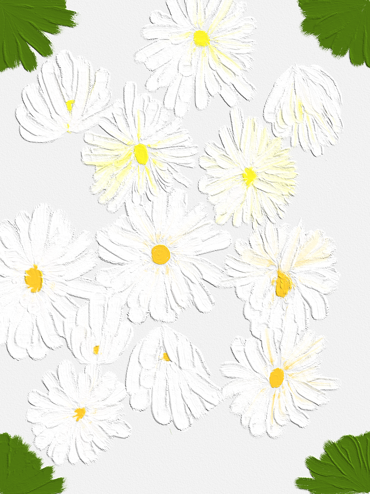 小白菊