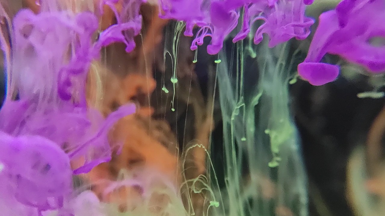 色彩实验——“色即是空”（小组作业）（图ZMTk3NDM2NzA0） - 短片 - 站酷设计师班琨原创素材 - 站酷ZCOOL