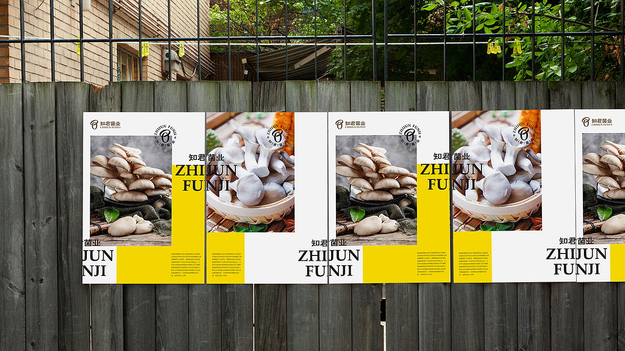 知君菌业品牌形象设计（图ZMjIyMDAyNDYw） - 品牌 - 站酷设计师90邦设计工作室原创素材 - 站酷ZCOOL