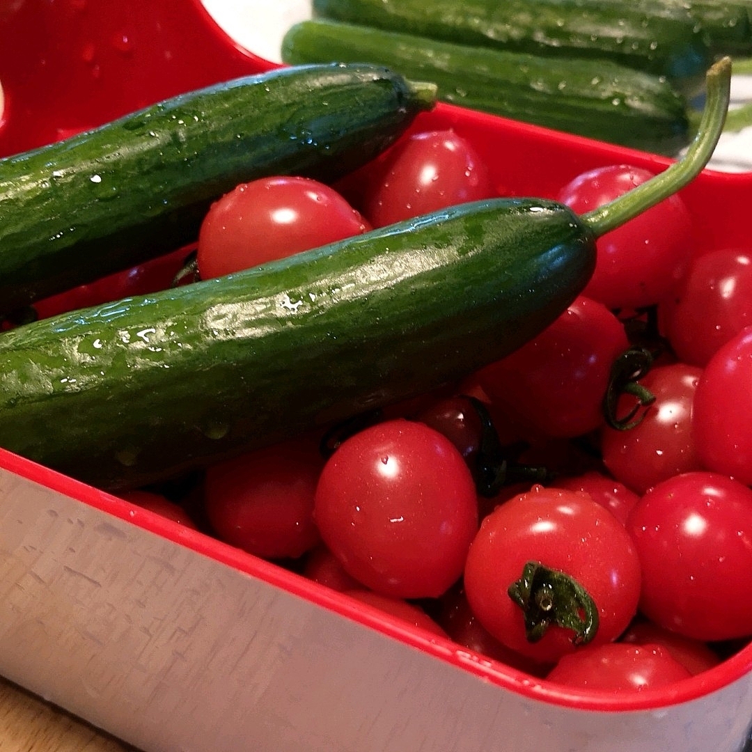 美食與場景（圖ZMTU3MjIwODAw） - 產(chǎn)品攝影 - 站酷設(shè)計師凌戰(zhàn)原創(chuàng)素材 - 站酷ZCOOL