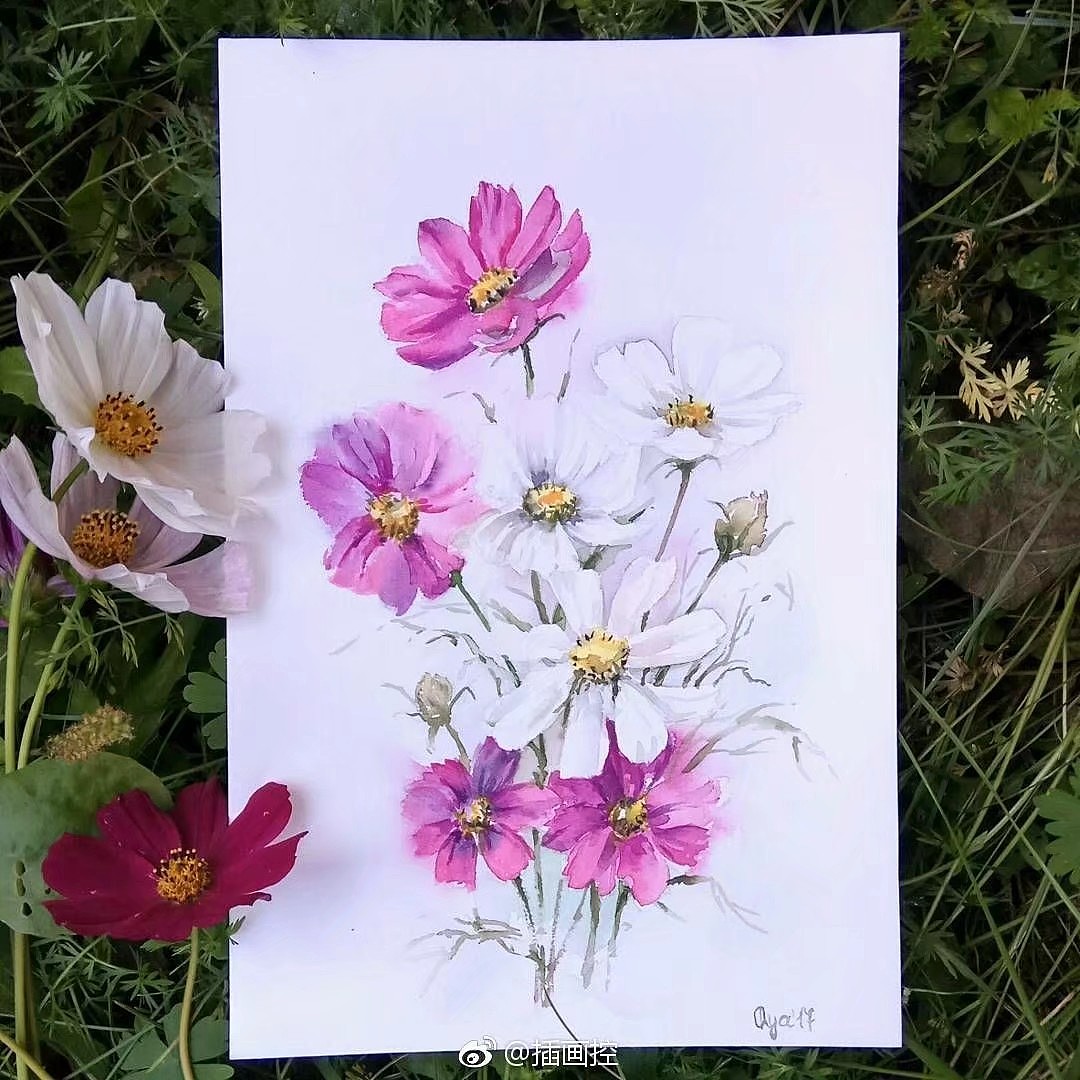 清新手绘（图ZMTI5Mjc0NTI4） - 艺术插画 - 站酷设计师一只虎斑喵呀原创素材 - 站酷ZCOOL