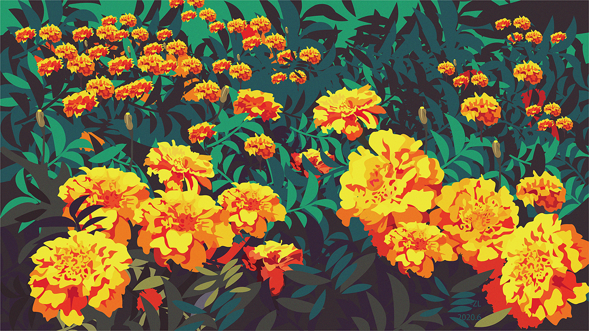 龍龍吖的个人主页（封面预览） - 主页封面设置 - 站酷设计师龍龍吖原创素材 - 站酷ZCOOL