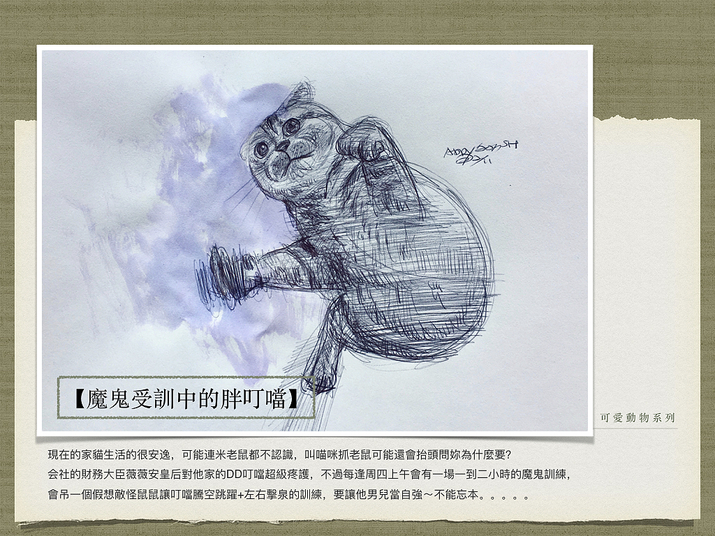 【可愛寵物系列】