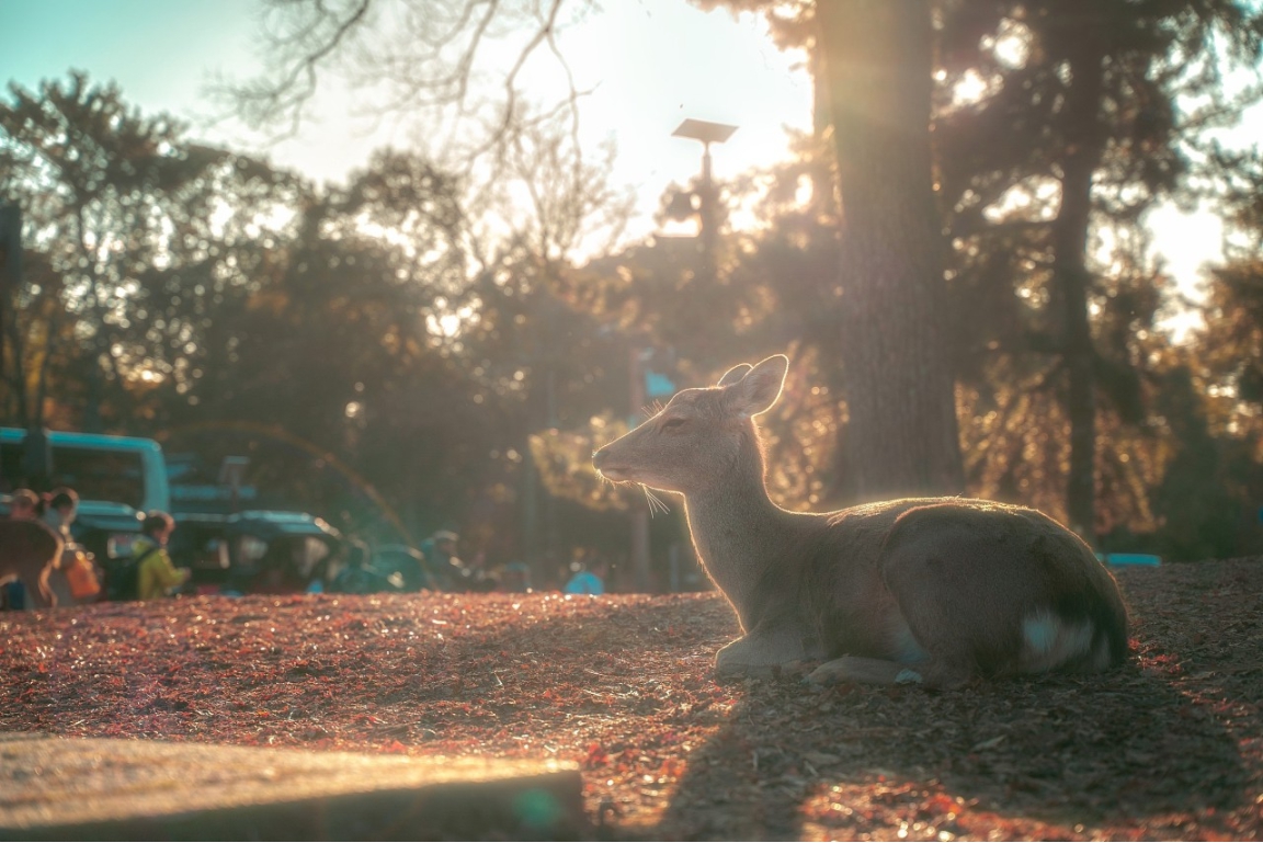 守意Craft的個(gè)人主頁（封面預(yù)覽） - 主頁封面設(shè)置 - 站酷設(shè)計(jì)師守意Craft原創(chuàng)素材 - 站酷ZCOOL