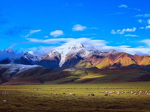 微信长图-旅行（个人主页-ZMzU0ODM4ODA=） - 品牌 - 站酷设计师Mesue_o原创素材 - 站酷ZCOOL