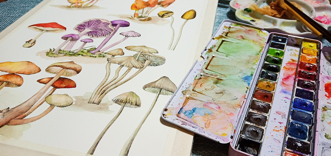 水彩蘑菇