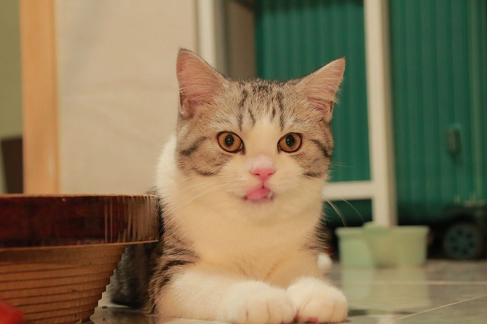 准备吃宵夜的表情