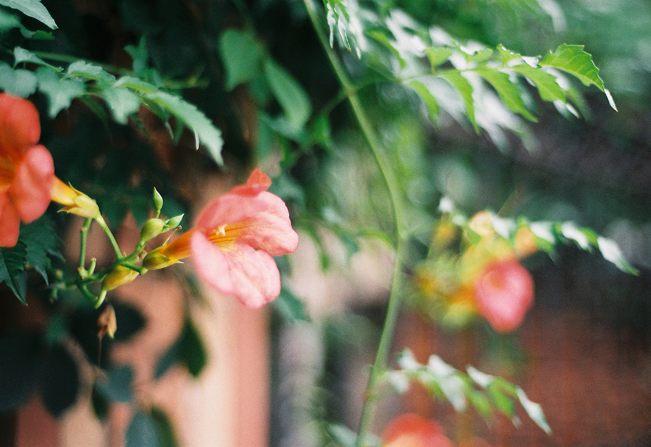 吴熙玮和他的胶片