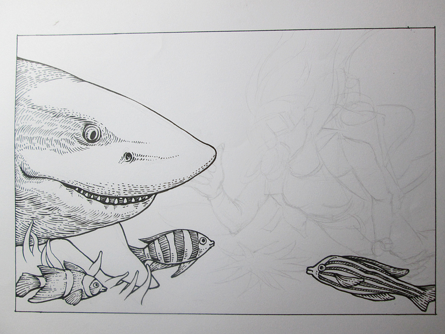 深海系列——遇见白鳍鲨(手绘过程)