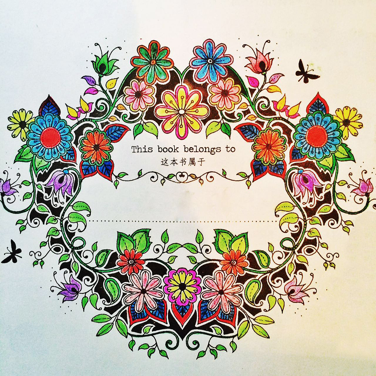 手机摄影（四）（图ZMzI3ODM4Njg=） - 其他摄影 - 站酷设计师念念啊不忘原创素材 - 站酷ZCOOL