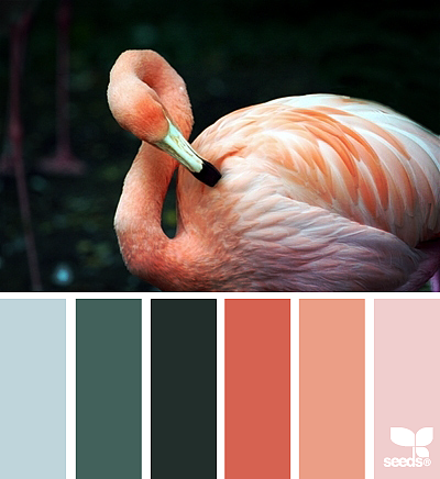 美丽的配色卡啊——04