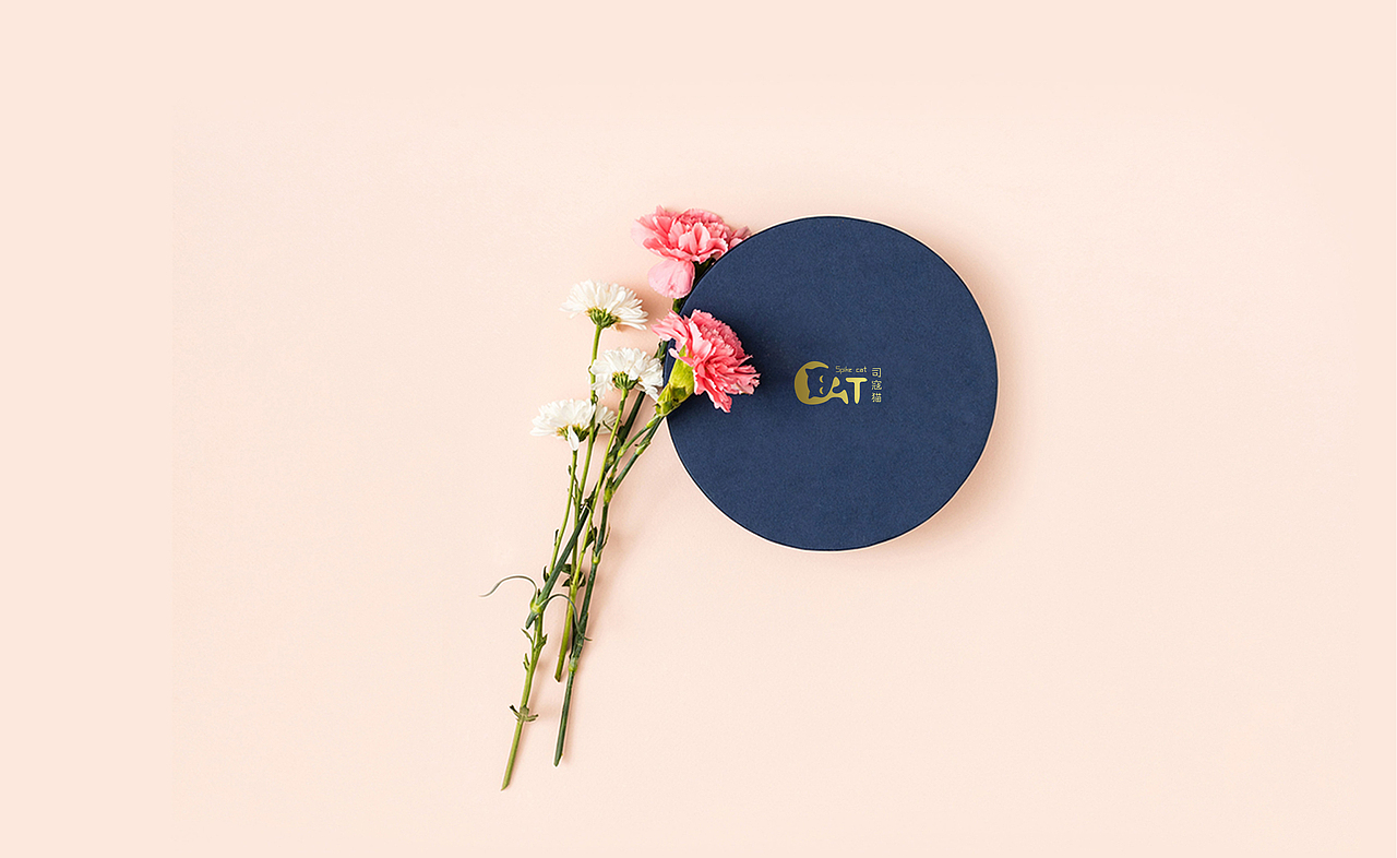 《司寇猫》VI手册（图ZMTY0MzkzMDE2） - 其他平面 - 站酷设计师奶油泡泡原创素材 - 站酷ZCOOL