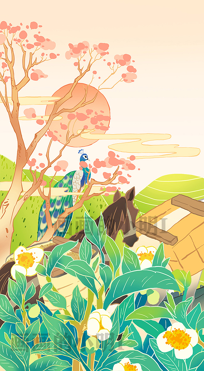 云南老马帮马上有茶包装插画