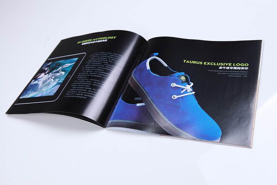 Mr.ing男士潮流休闲鞋金牛座宣传画册
