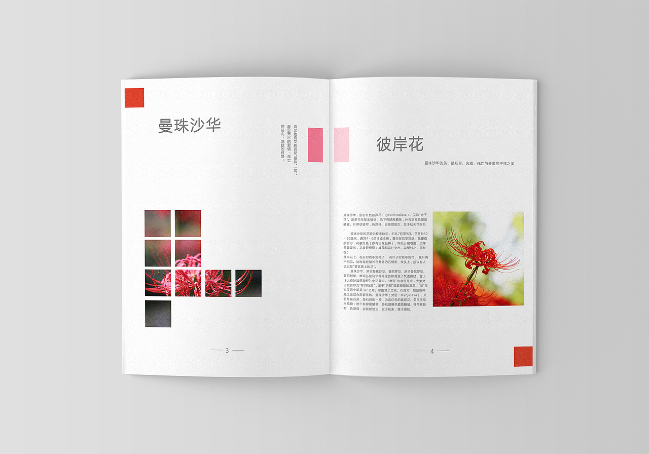 花語(yǔ)（圖ZMTMxOTQ3ODY4） - 宣傳物料 - 站酷設(shè)計(jì)師阿熊i原創(chuàng)素材 - 站酷ZCOOL