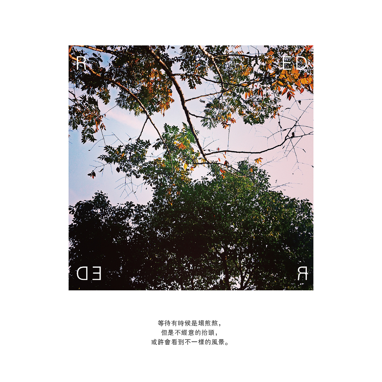 她用手机记录生活