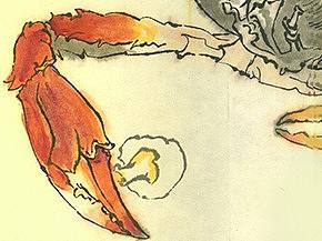 國畫蟹（個人主頁-ZNDM0OTI4ODA=） - 繪畫 - 站酷設(shè)計(jì)師莫負(fù)韶華711原創(chuàng)素材 - 站酷ZCOOL