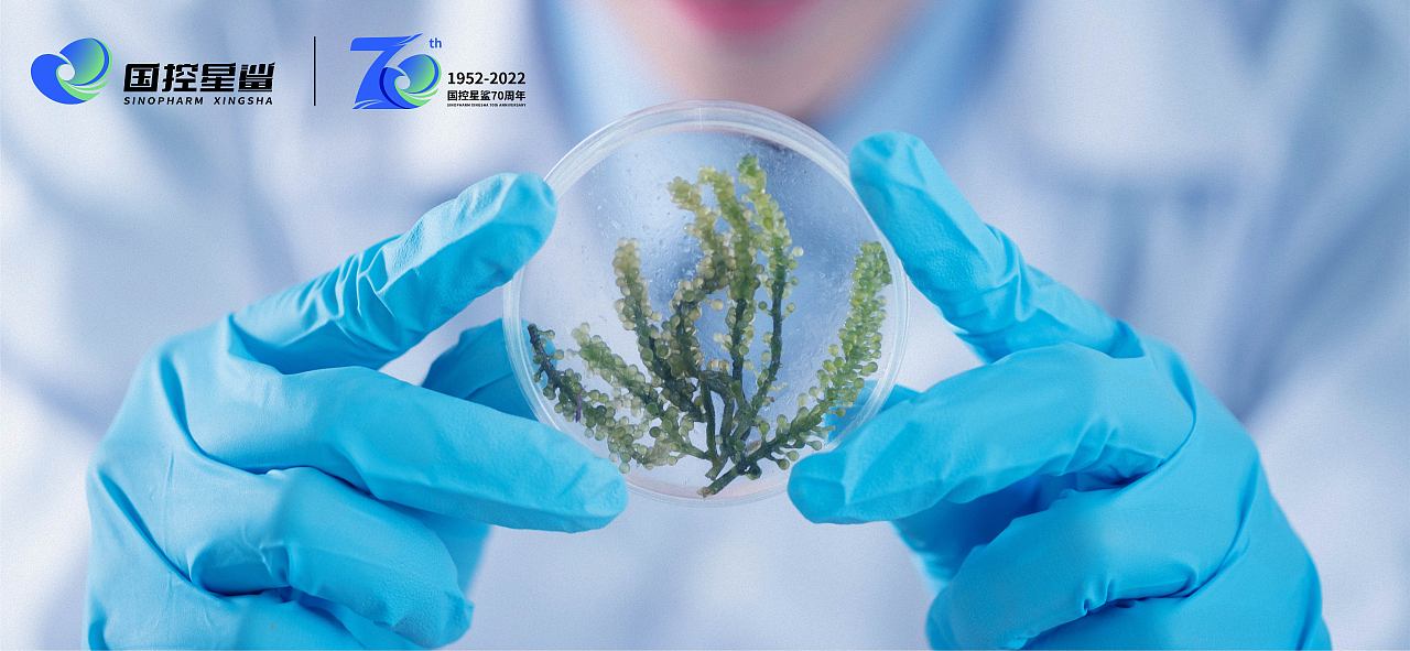 【凭星而来 鲨耀新生】国控星鲨LOGO以及70周年徽标（图ZMjk2MTk2MDgw） - Logo - 站酷设计师DaisyFung原创素材 - 站酷ZCOOL