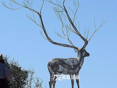 304不锈钢异形雕塑传统手工锻造工艺