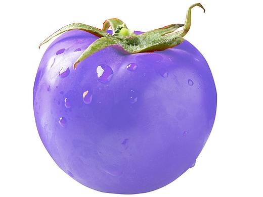 “蓝”柿子，哈哈哈