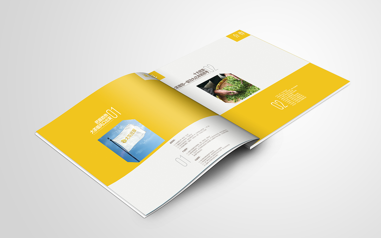 大茶售后服務卡和大茶視界刊例（圖ZNjg3NjM1MDA=） - 書籍/畫冊 - 站酷設計師10TAIL原創(chuàng)素材 - 站酷ZCOOL