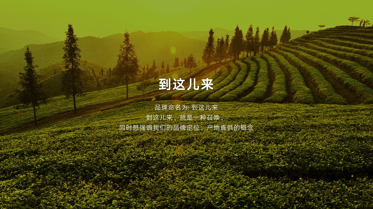 农业品牌全案设计-到这儿来（图ZMTEwODc3MjAw） - 包装 - 站酷设计师四喜亮点包装策划原创素材 - 站酷ZCOOL