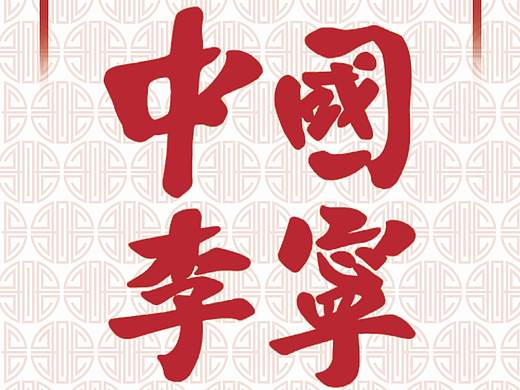 中国李宁商业画册