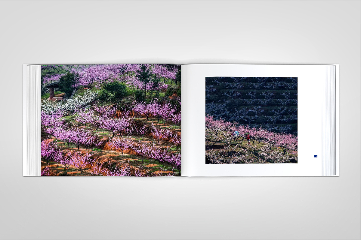 清新花香·福源建宁-精装画册-源艺设计