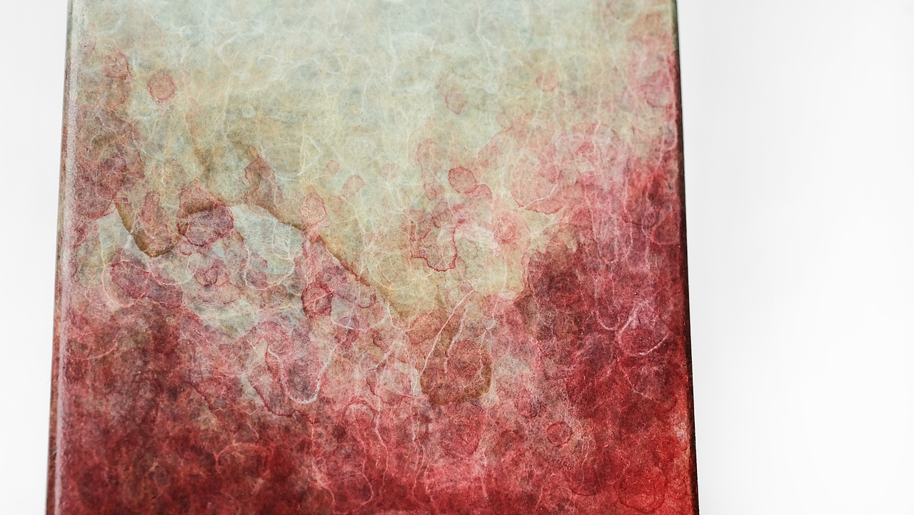 晨曦霞露-红花瓶