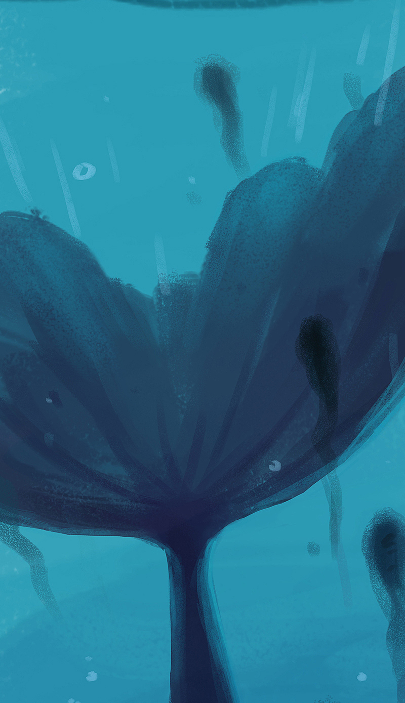 漫画《吾猫当仙》第53话