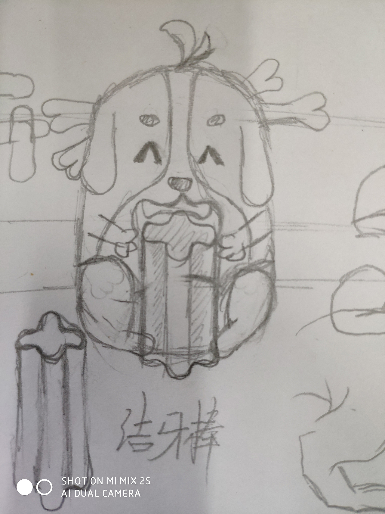 磨牙棒 宠物 IP设计 包装设计