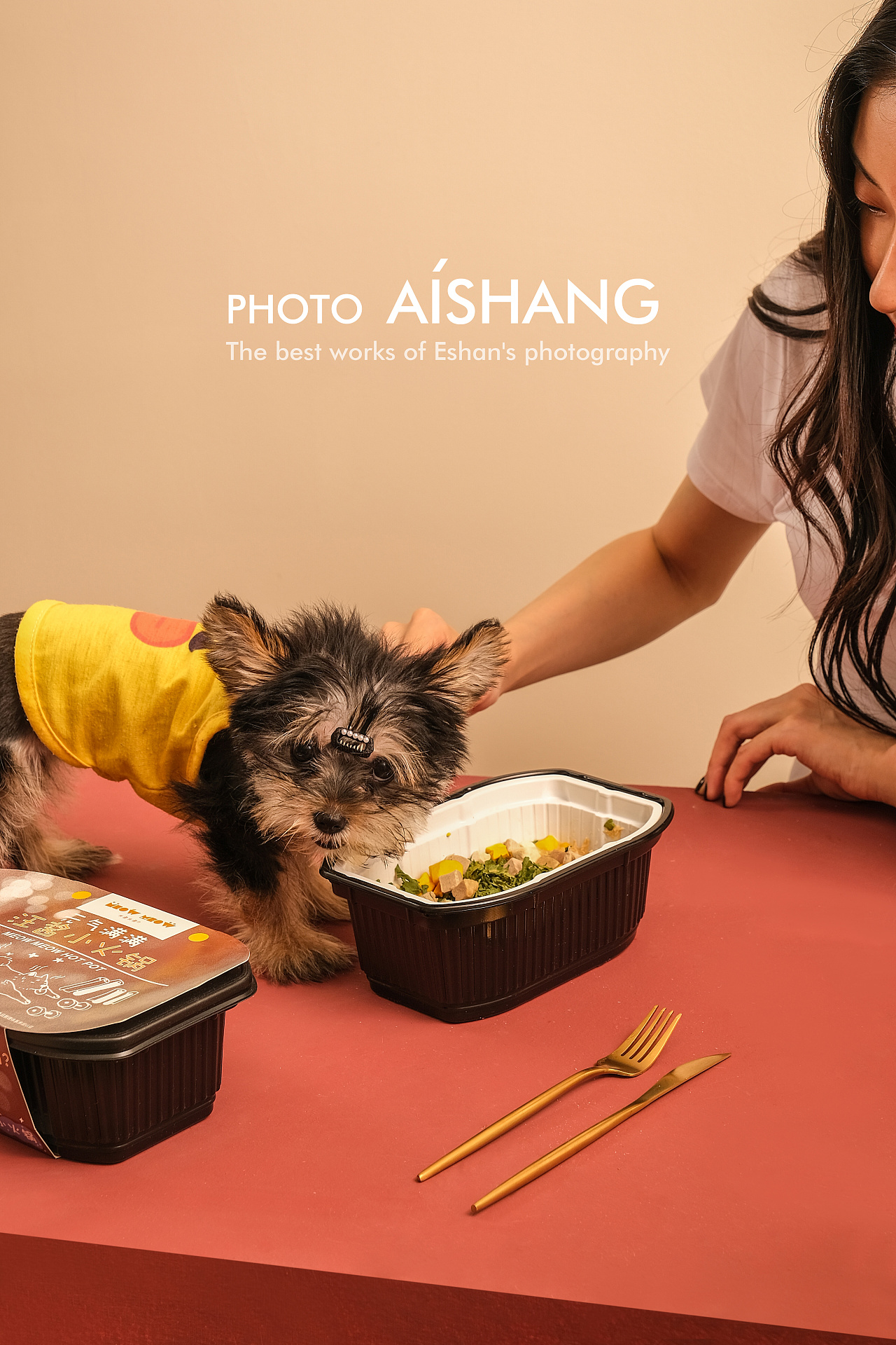 猫火锅宠物火锅