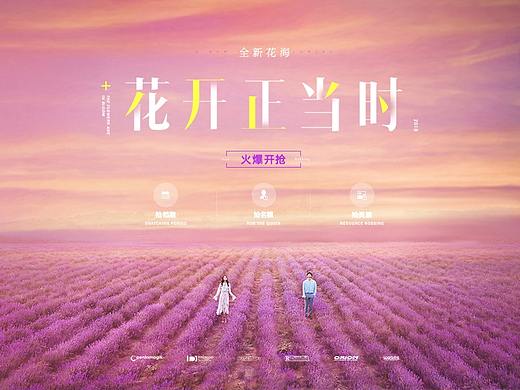 乐玛摄影-花期主题样片（个人主页-ZMzQyNDMxOTY=） - 品牌 - 站酷设计师二两麻瓜原创素材 - 站酷ZCOOL