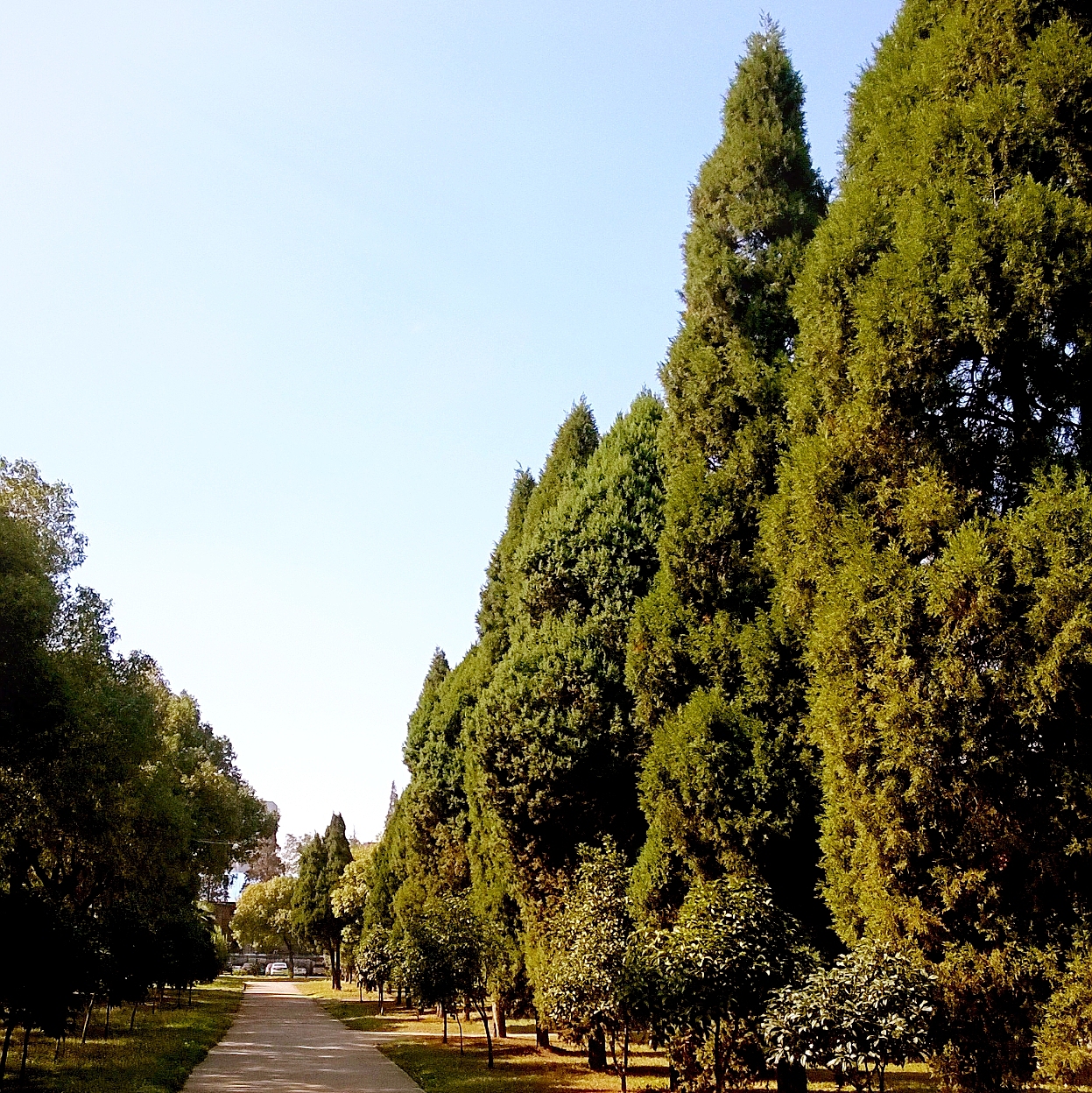 漫步在金秋的阳光下