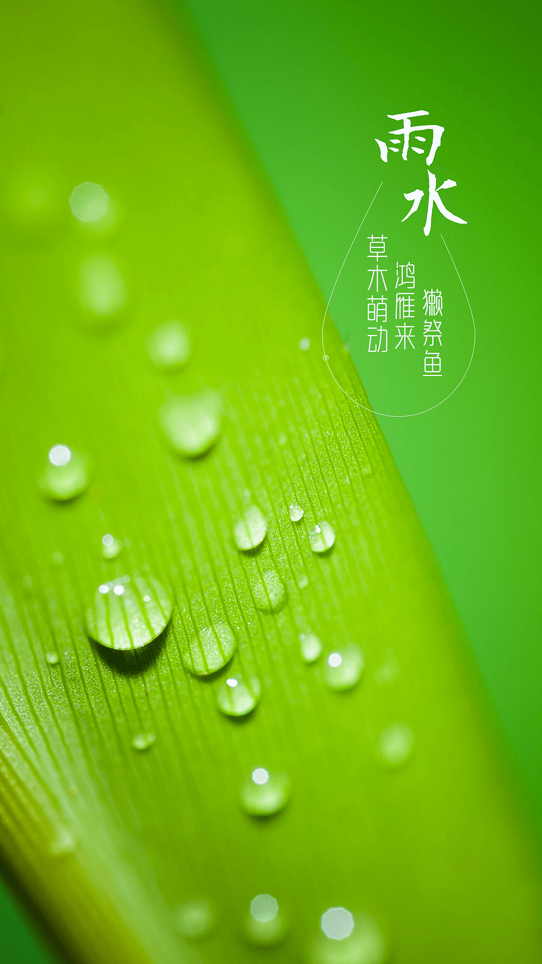 24节气（图ZNDU3NTY2MTY=） - 其他网页 - 站酷设计师小米妹妹原创素材 - 站酷ZCOOL