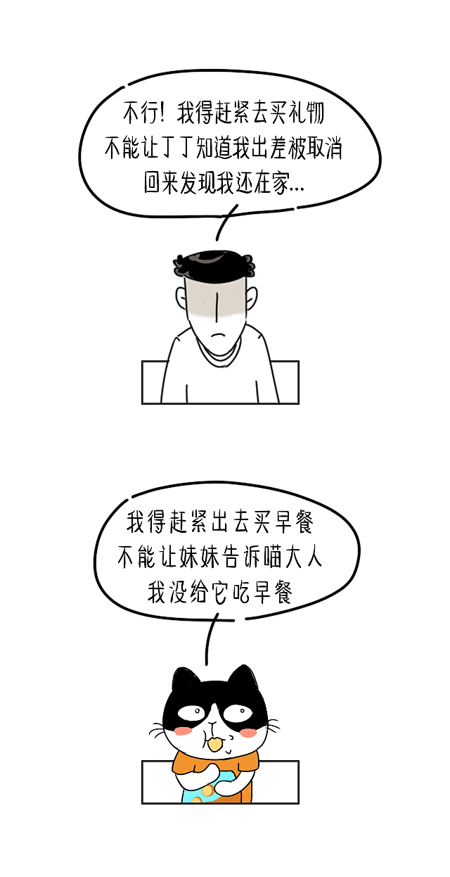 别对猫说谎,它不傻...