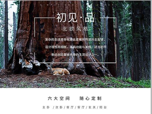 different style（个人主页-ZMzk2MzExMjQ=） - 其他网页 - 站酷设计师青钢之影原创素材 - 站酷ZCOOL