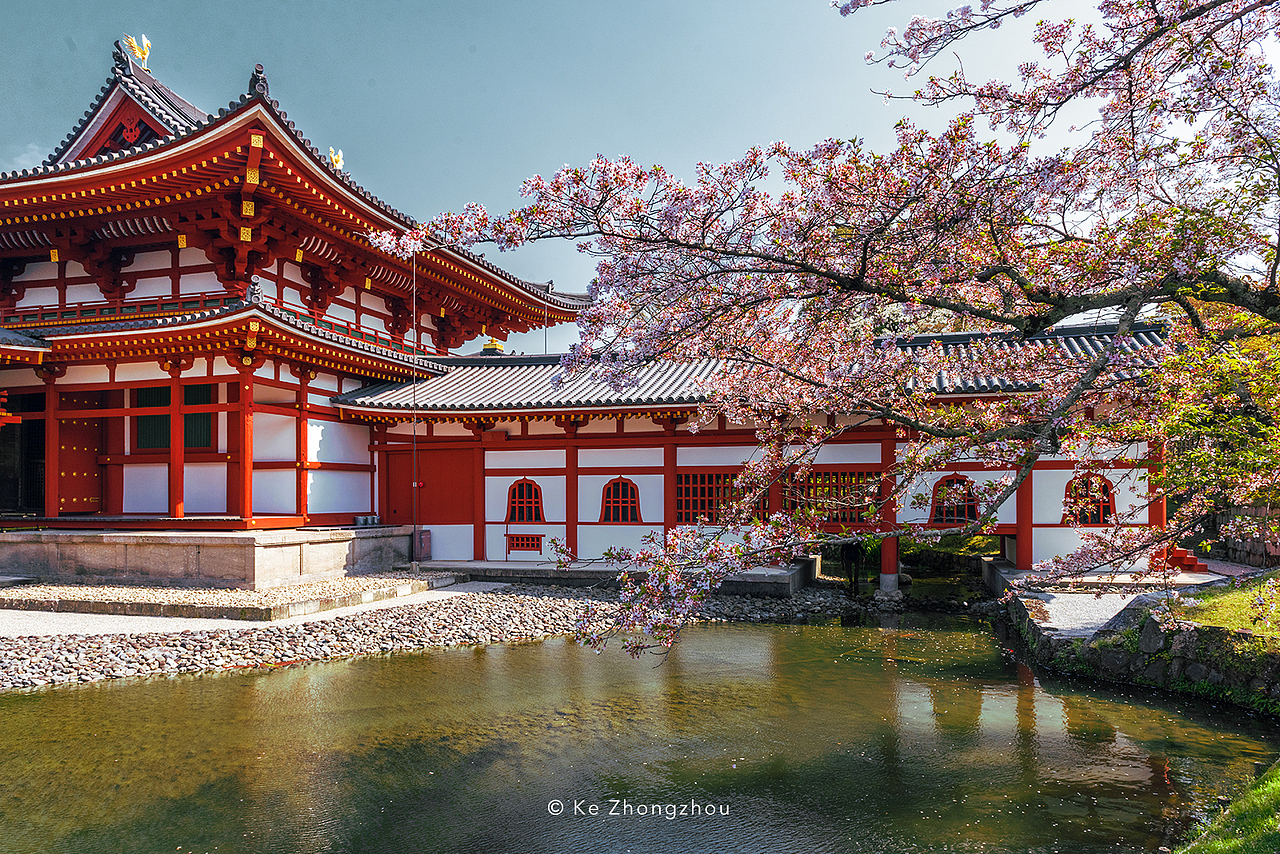 日本樱花季旅游（图ZMTExNjk1NzIw） - 风光摄影 - 站酷设计师KeZhongzhou原创素材 - 站酷ZCOOL