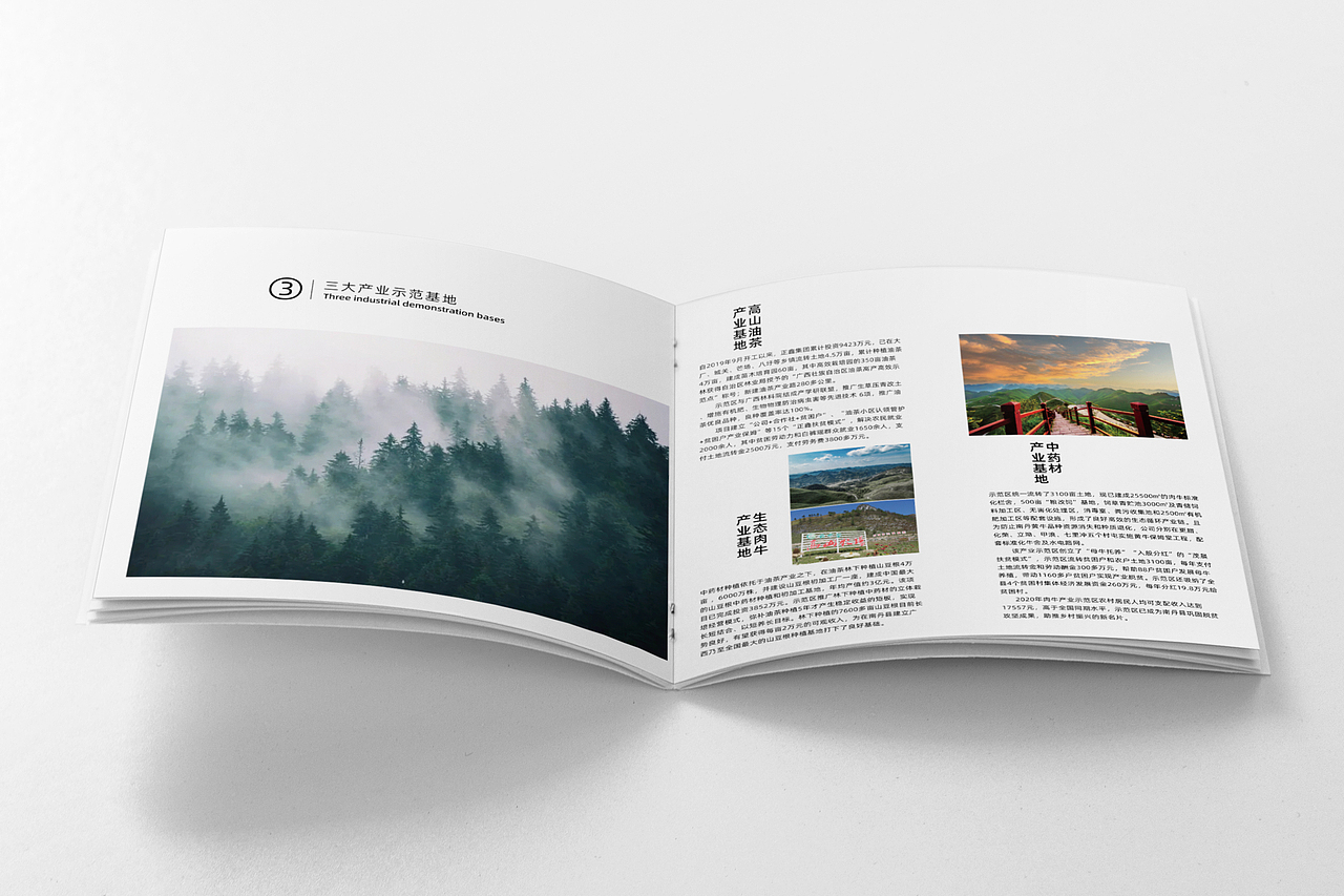 企业手册/画册（图ZMjkzMjk4NDAw） - 书籍/画册 - 站酷设计师CL酷原创素材 - 站酷ZCOOL