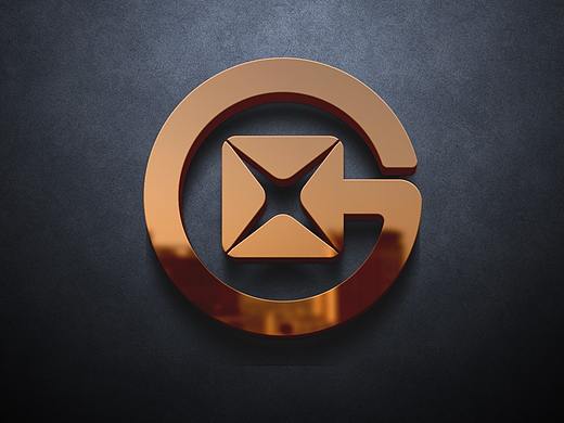 金融行业-鑫星担保LOGO设计