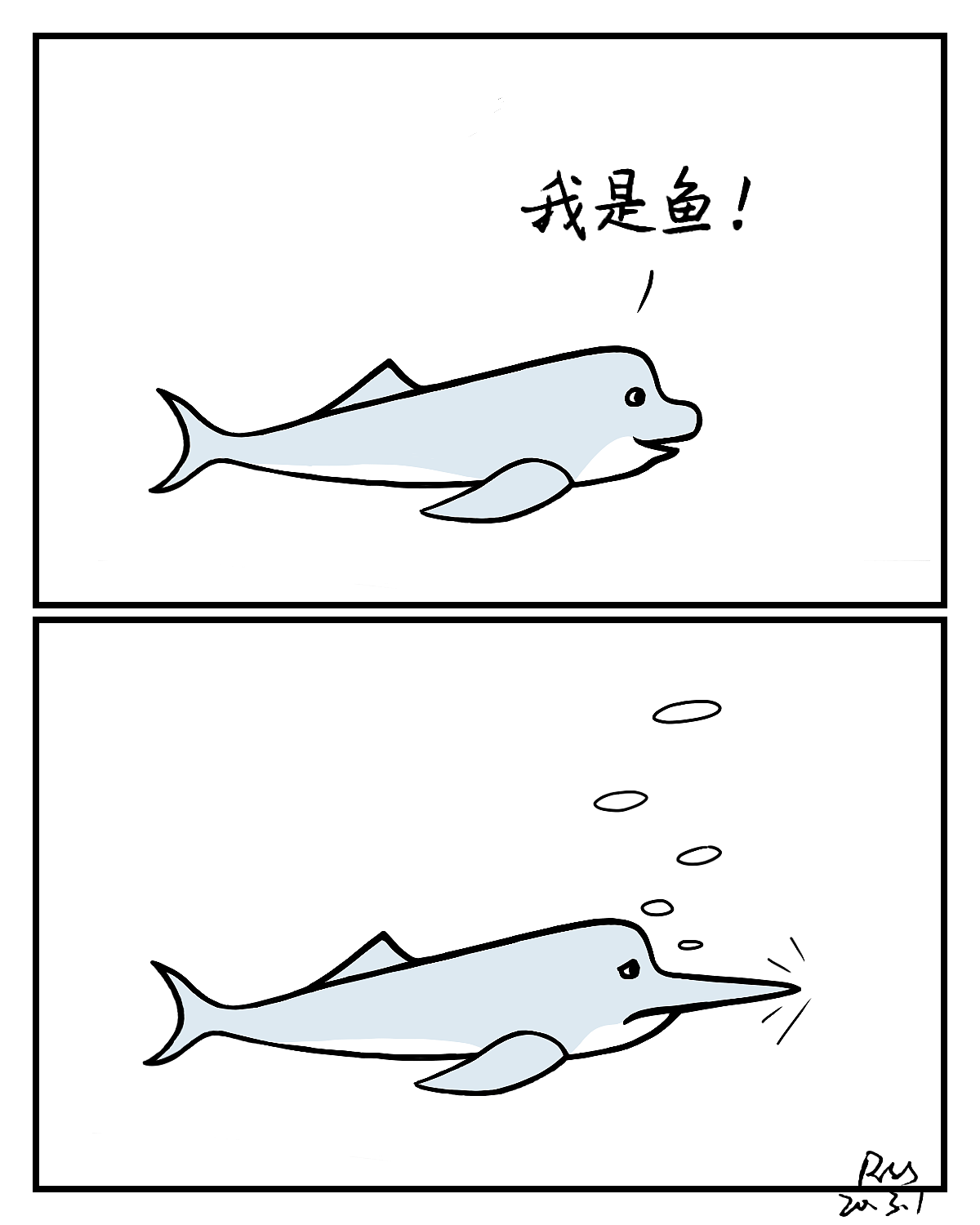 海豚的鼻子