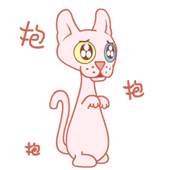 大丑小八 我为我的宠物店代言