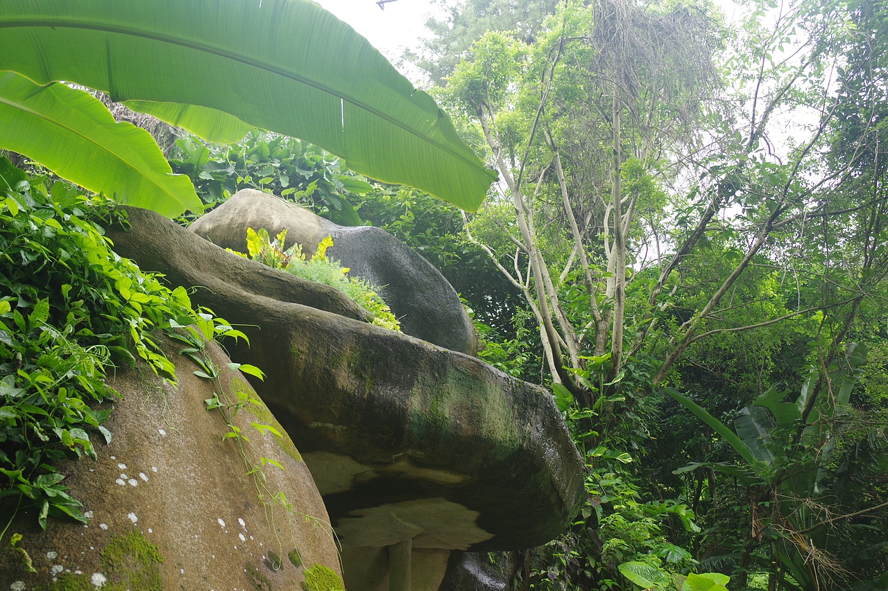 户外摄影--厦门摄影（鼓浪屿、植物园）（图ZNTc4Mzc4NDA=） - 环境/建筑摄影 - 站酷设计师今天能喝咖啡了吗原创素材 - 站酷ZCOOL