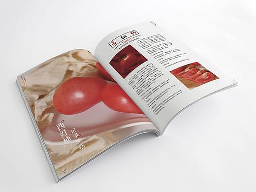 水果蔬菜类画册（个人主页-ZNDIwNjc5NzY=） - 书籍/画册 - 站酷设计师王志欣w原创素材 - 站酷ZCOOL