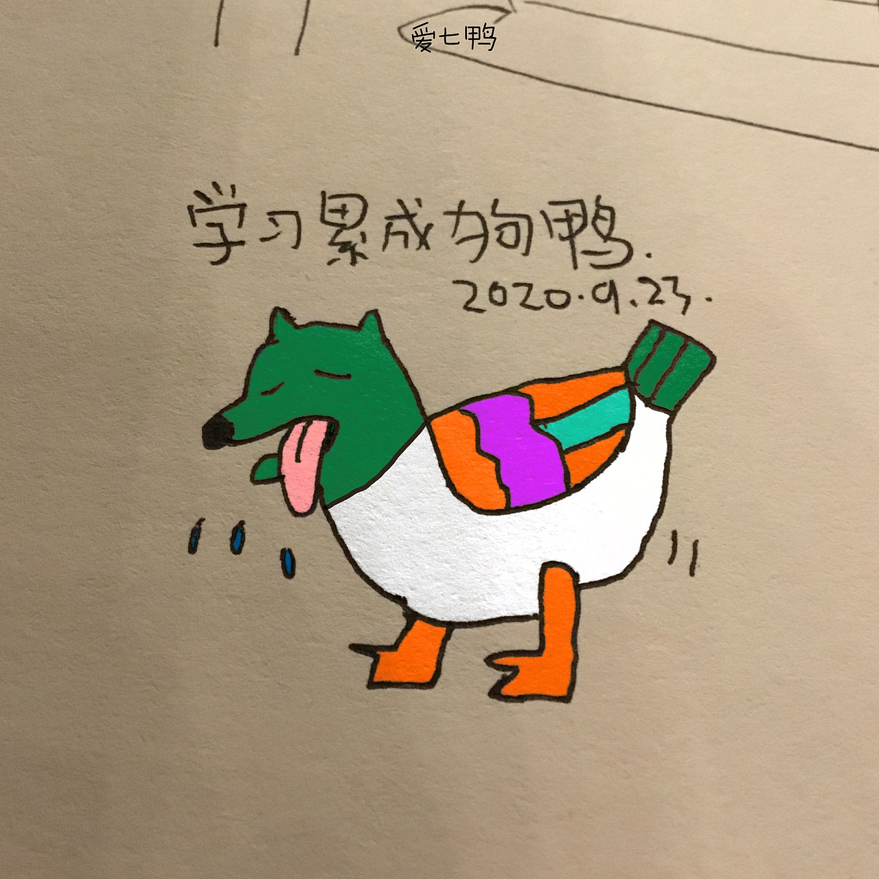 爱七鸭合集一百张