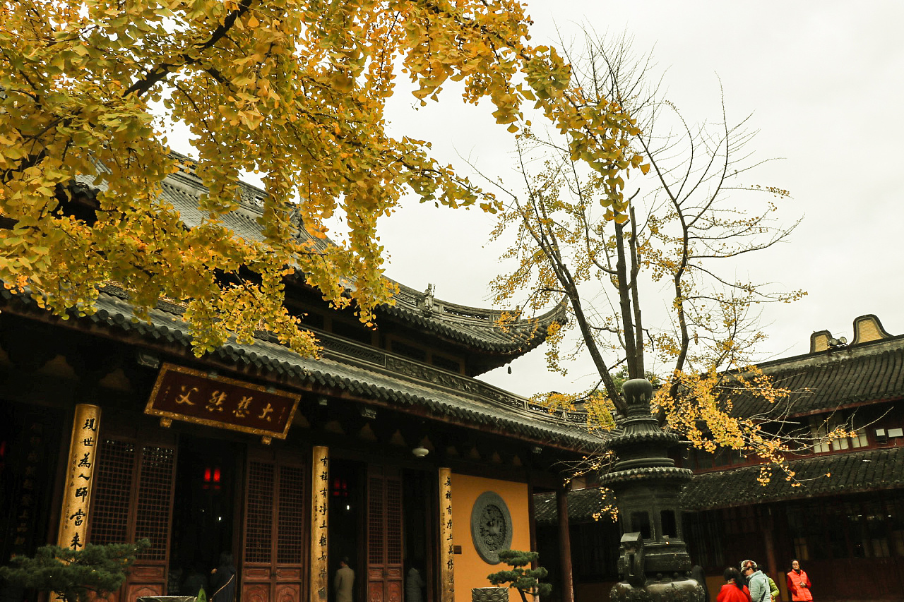 龙华寺半日游/摄影