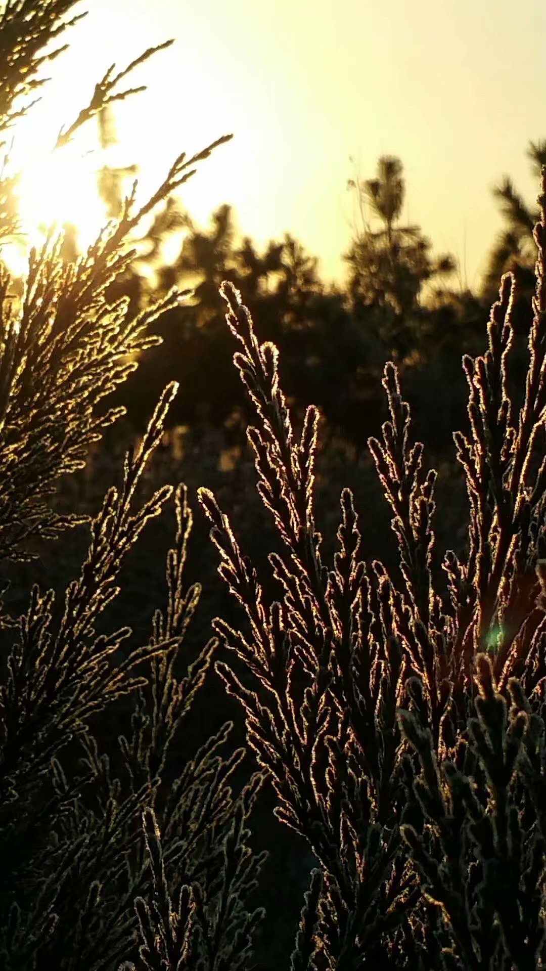 努力发现生活中的美